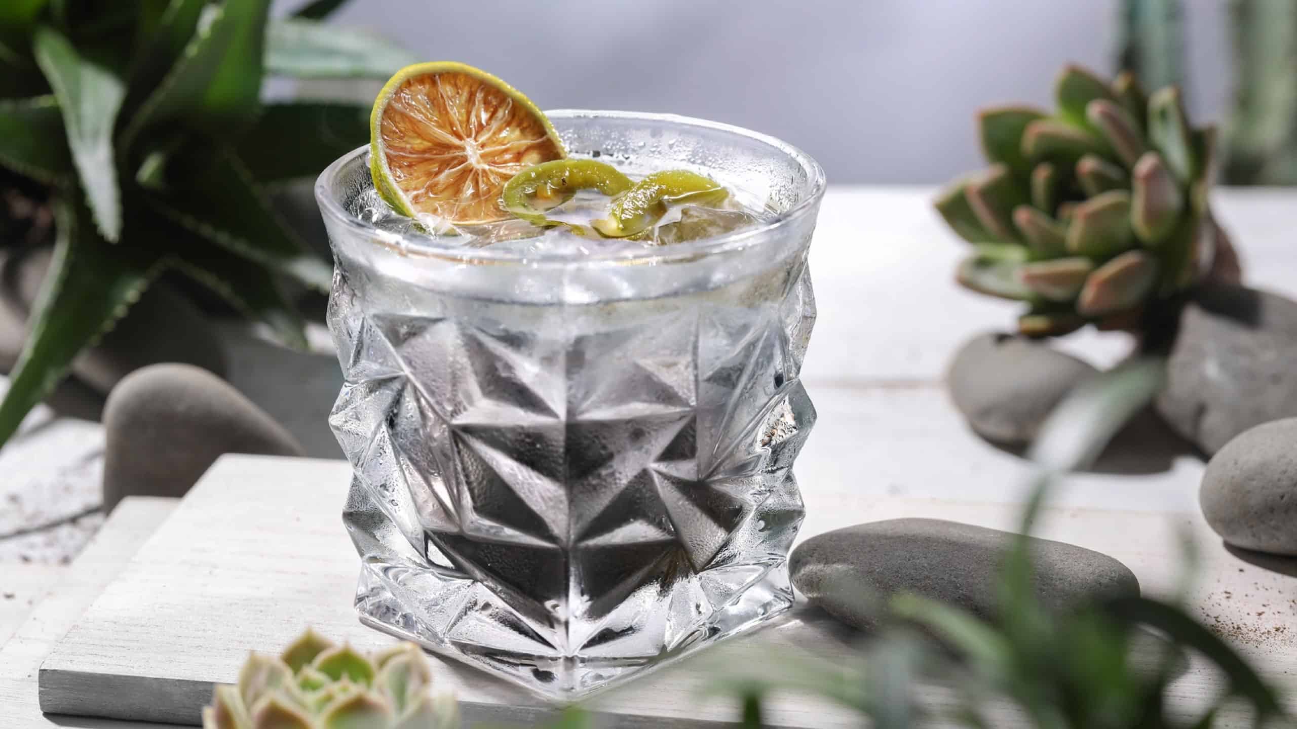 The Spirit of Agave at Vibes