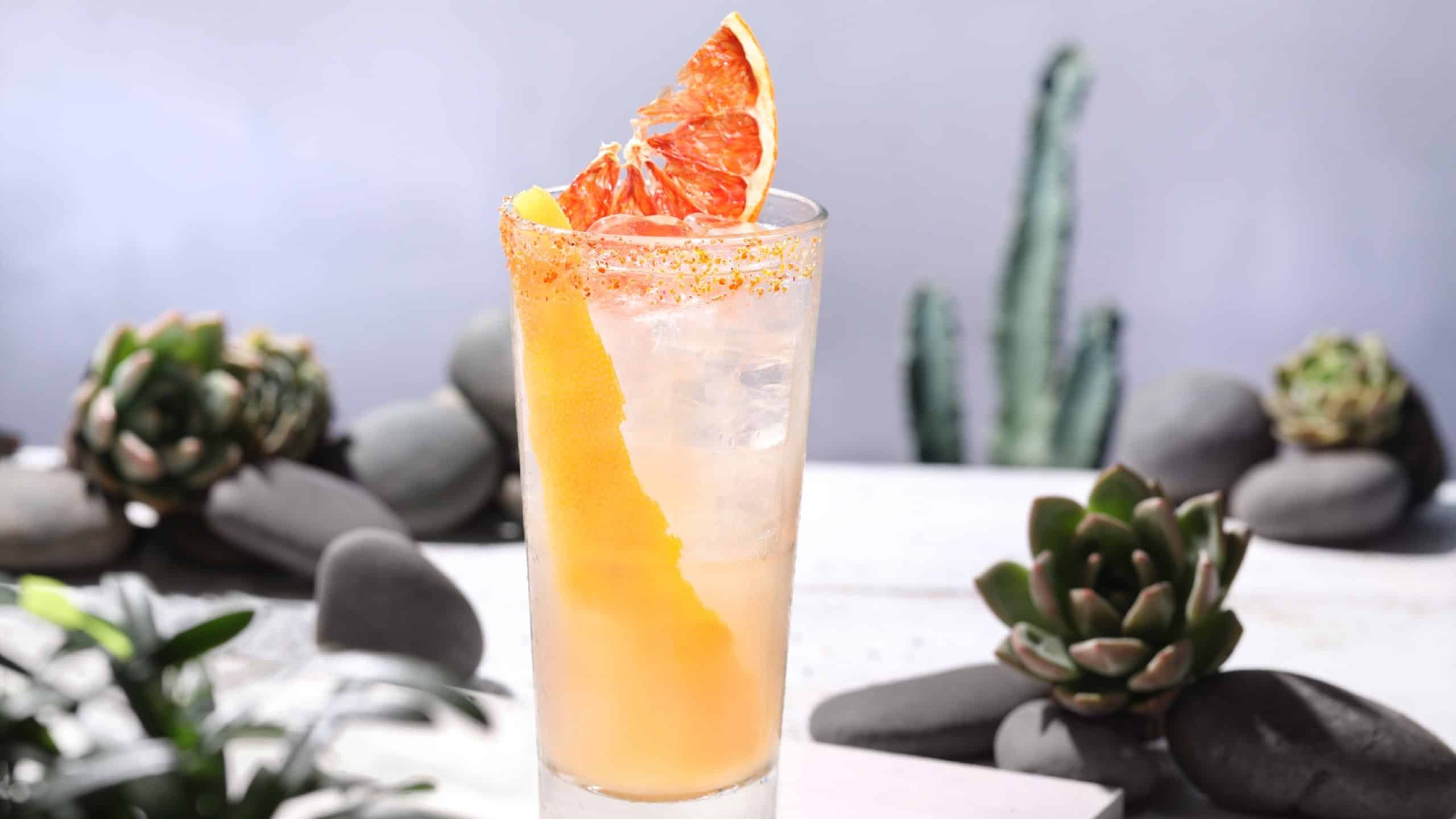 The Spirit of Agave at Vibes