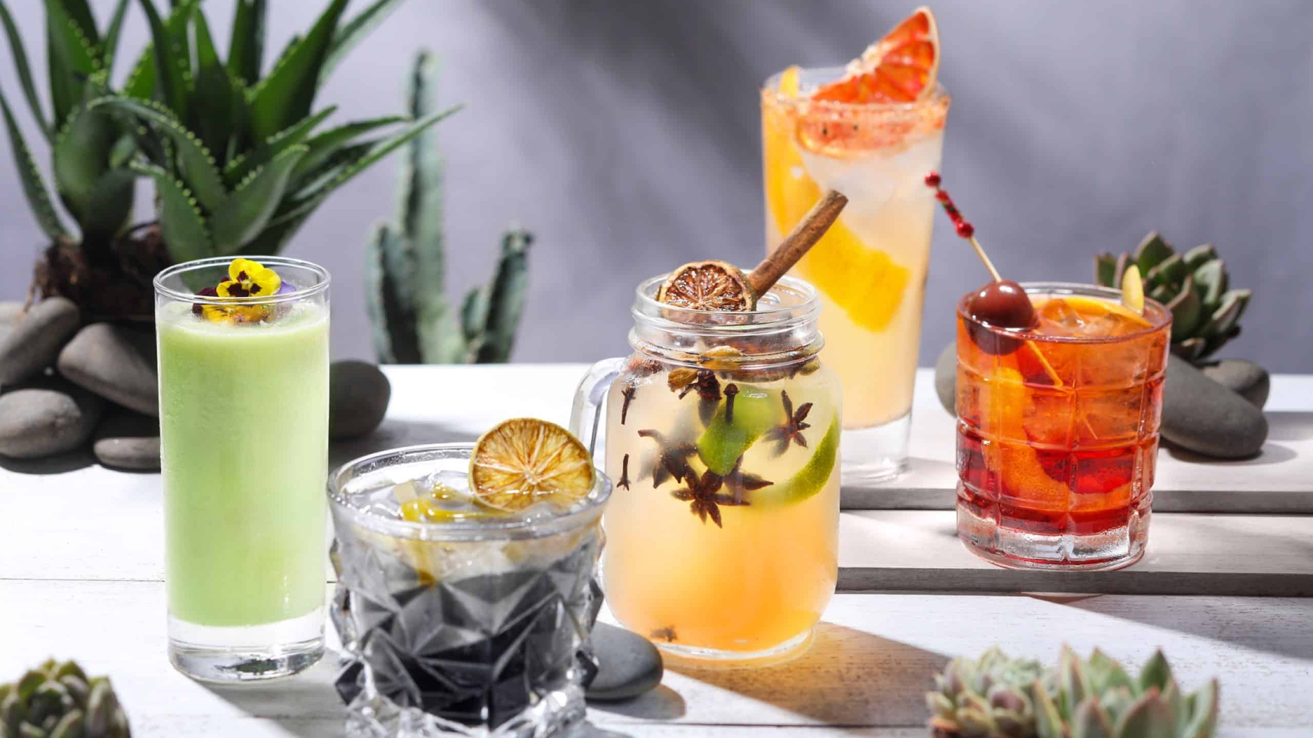 The Spirit of Agave at Vibes