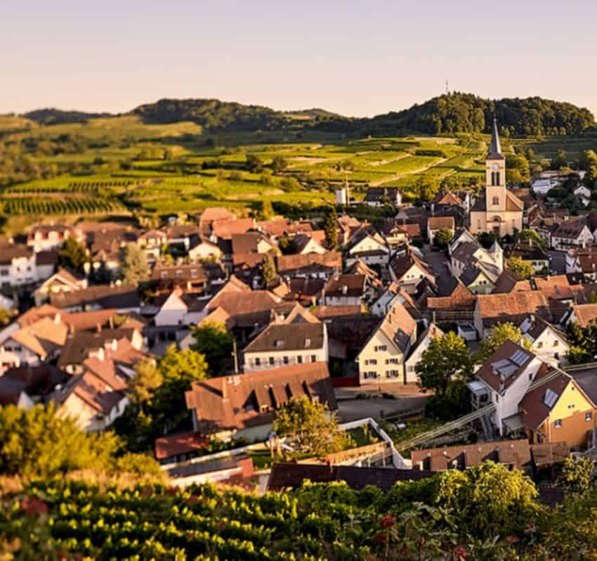 Riesling Weeks Hong Kong Weingut Salwey