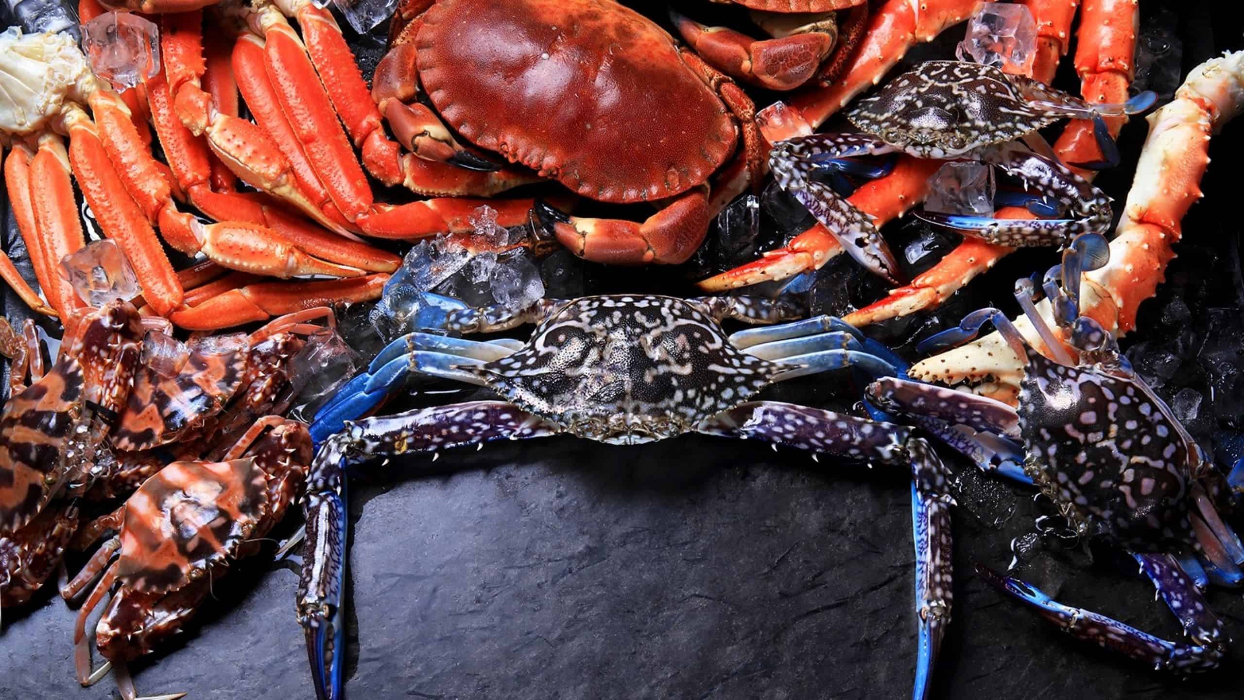 Monthly Crab Buffet at Yamm