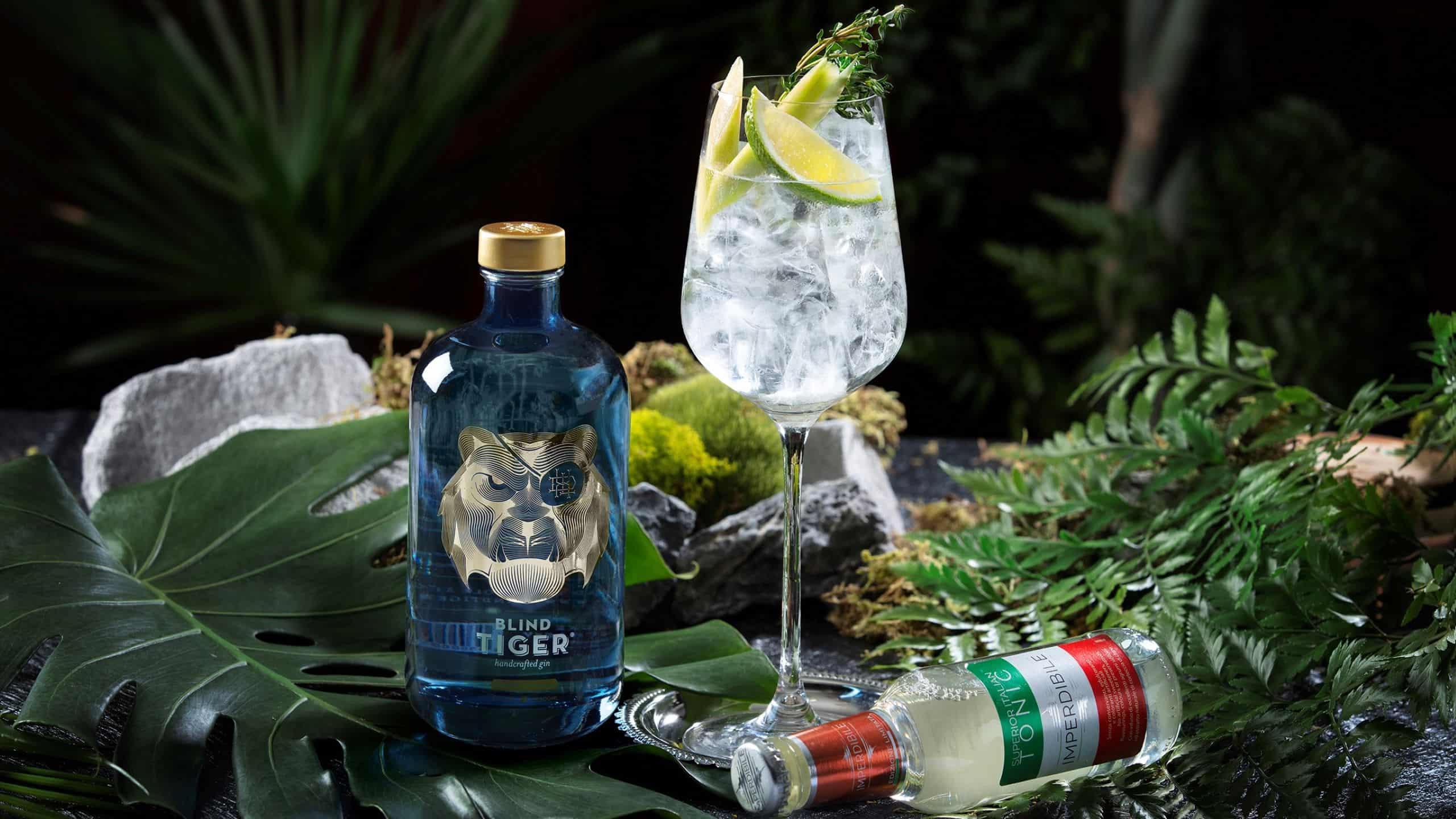Gin & Tonic Revival Happy Hour at Vibes: Blind Tiger