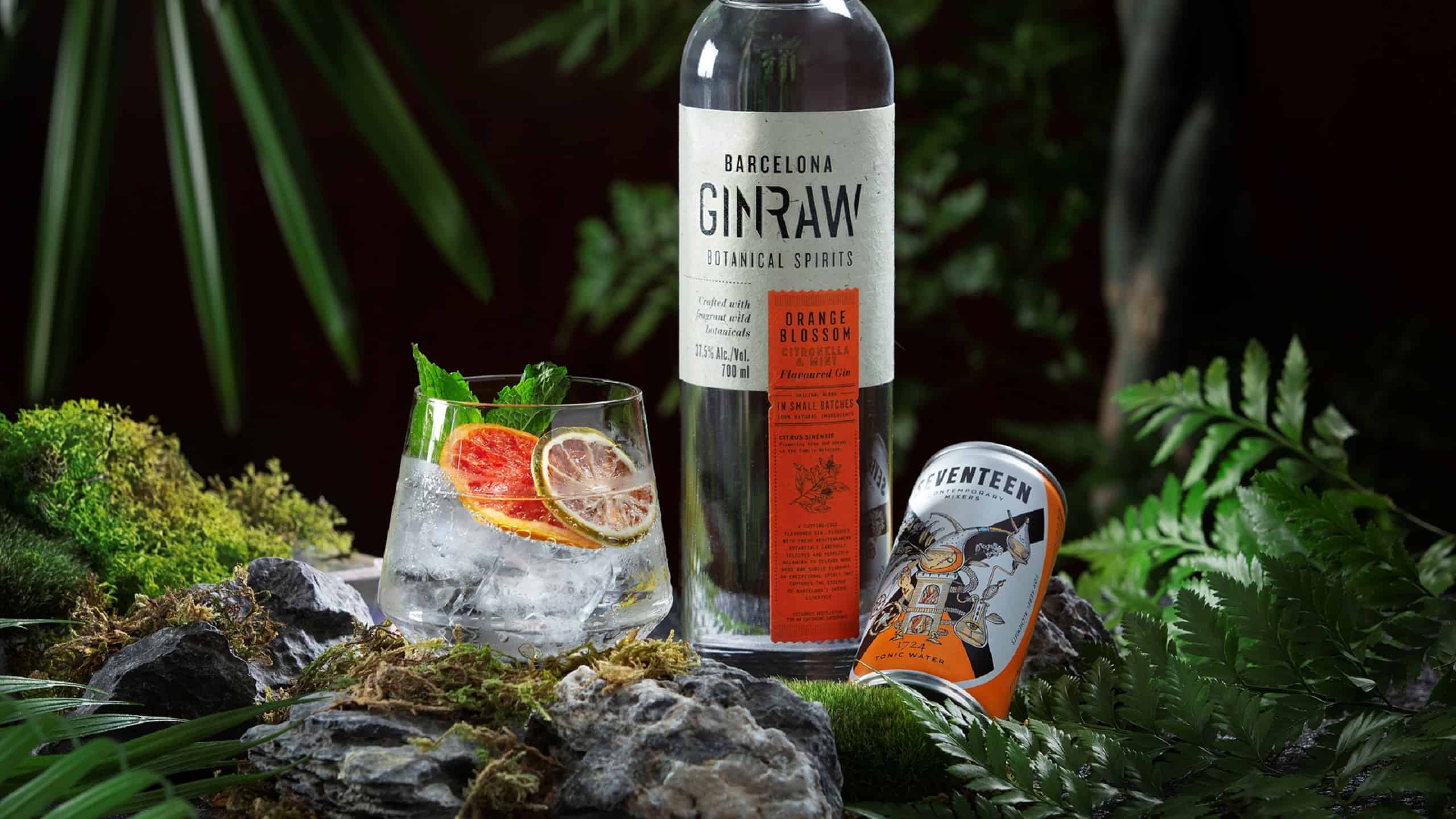 Gin & Tonic Revival Happy Hour at Vibes: Gin Raw