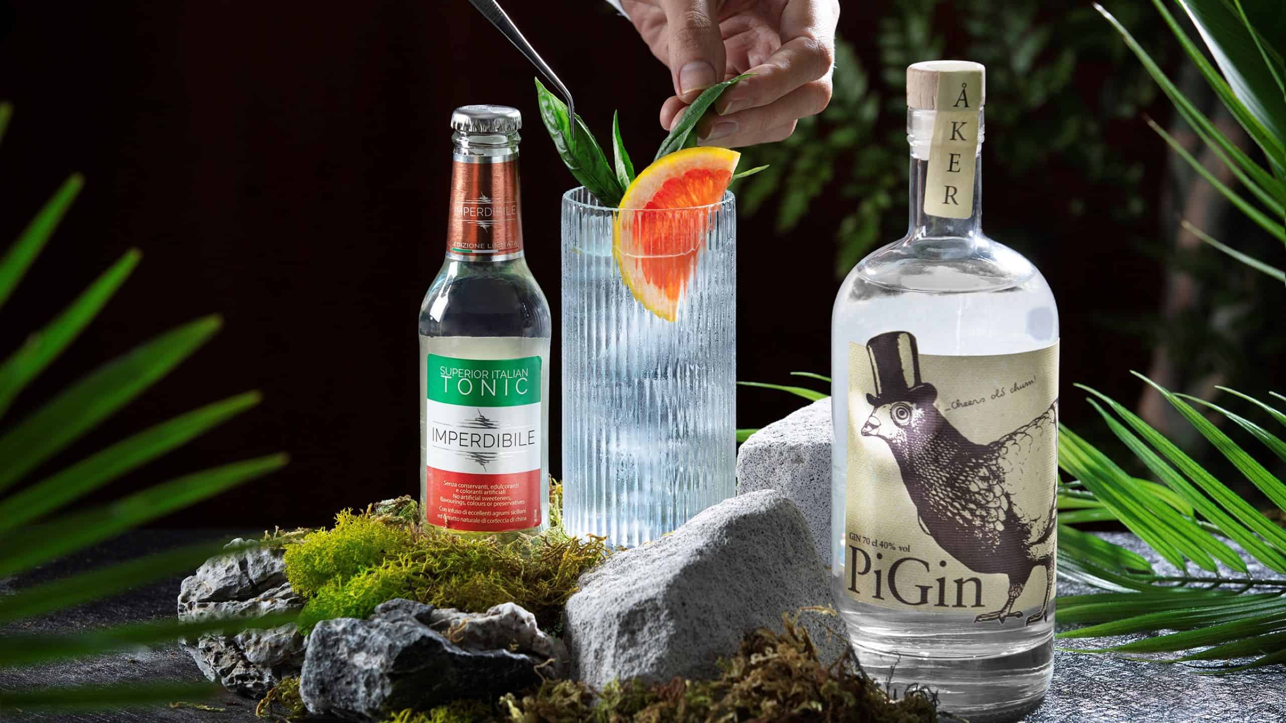 Gin & Tonic Revival Happy Hour at Vibes: PiGin