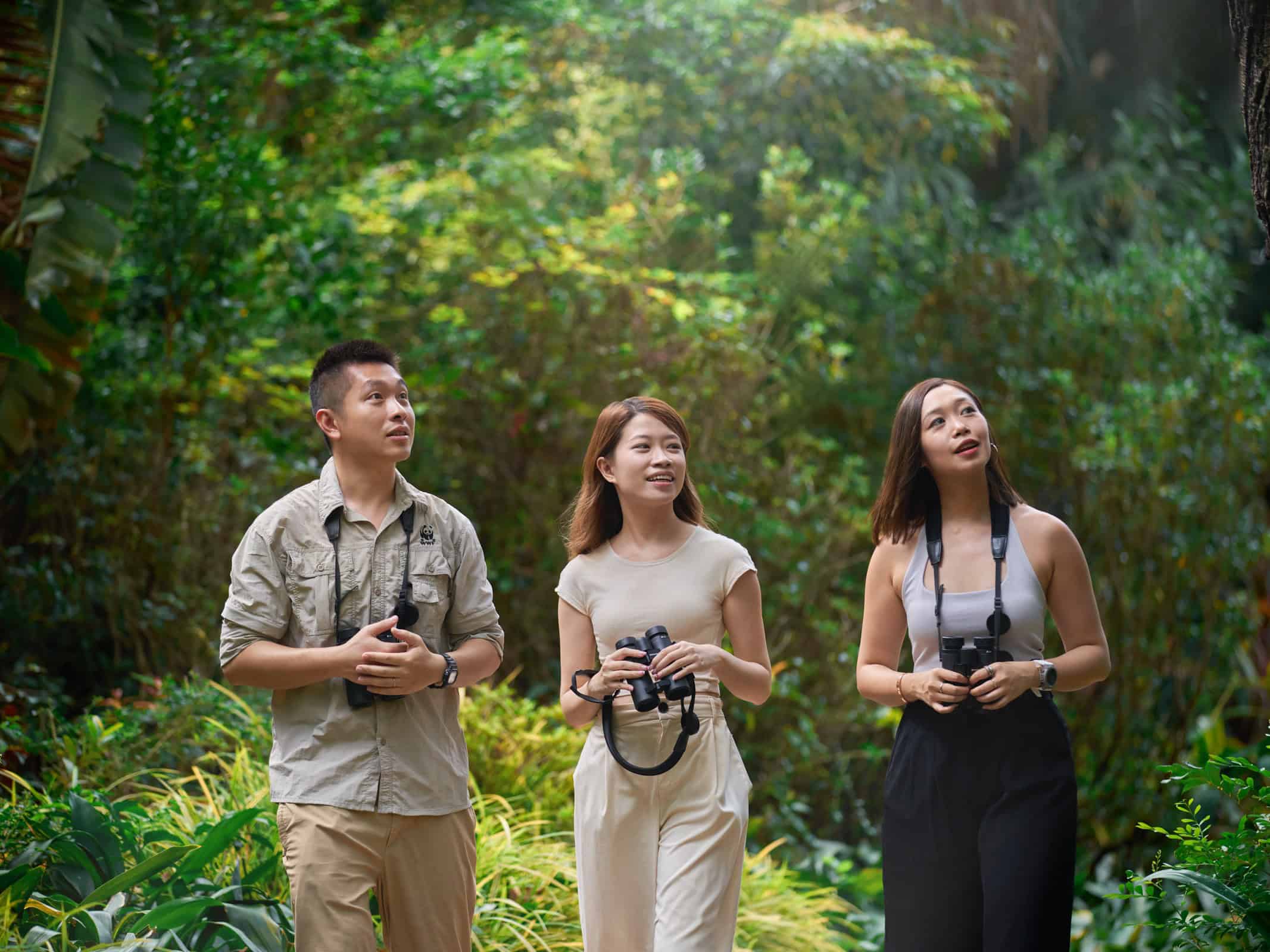 Avian Mira-cles Bird Walks at Kowloon Park with WWF-Hong Kong Guide - The Mira Hong Kong