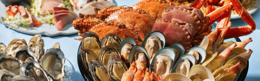 Yamm-seafood-brunch
