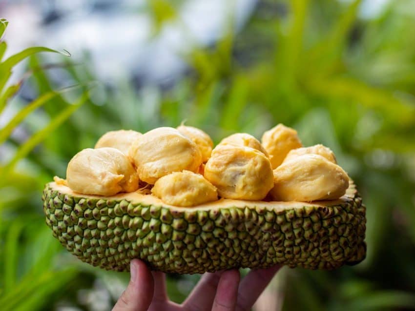 Taste of Malaysia: All you can eat exotic fruit including Cempedak