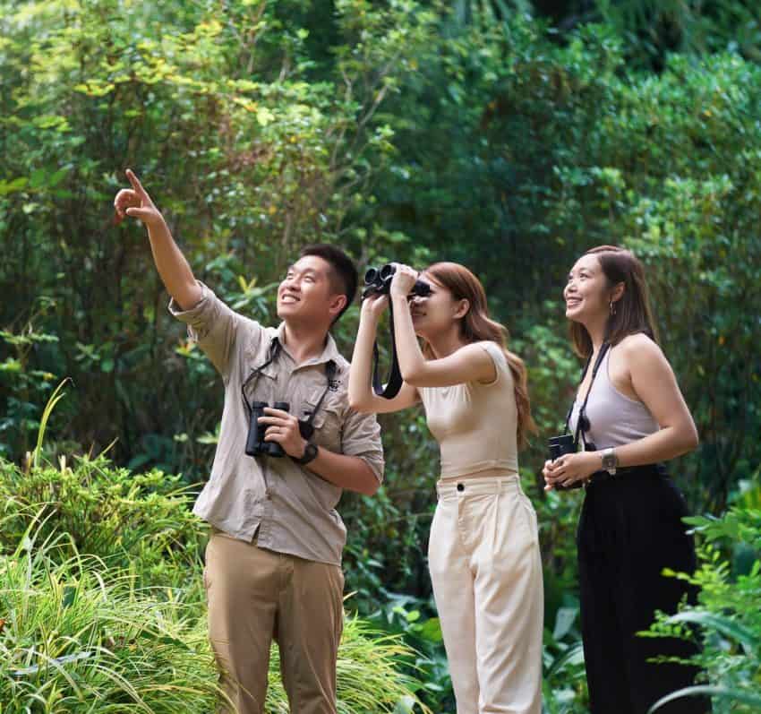 Avian Mira-cles Bird Walks at Kowloon Park - The Mira Hong Kong